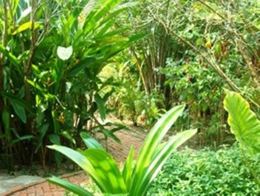 Hotel Botanica Kep Exteriér fotografie